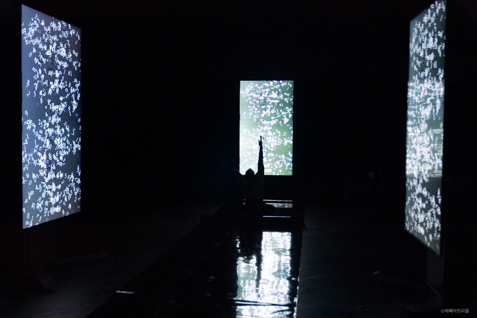 JN_00519.jpg